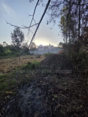 1/4 Acre Plot Ngong Olkeri for Sale Ideal for Residential Development