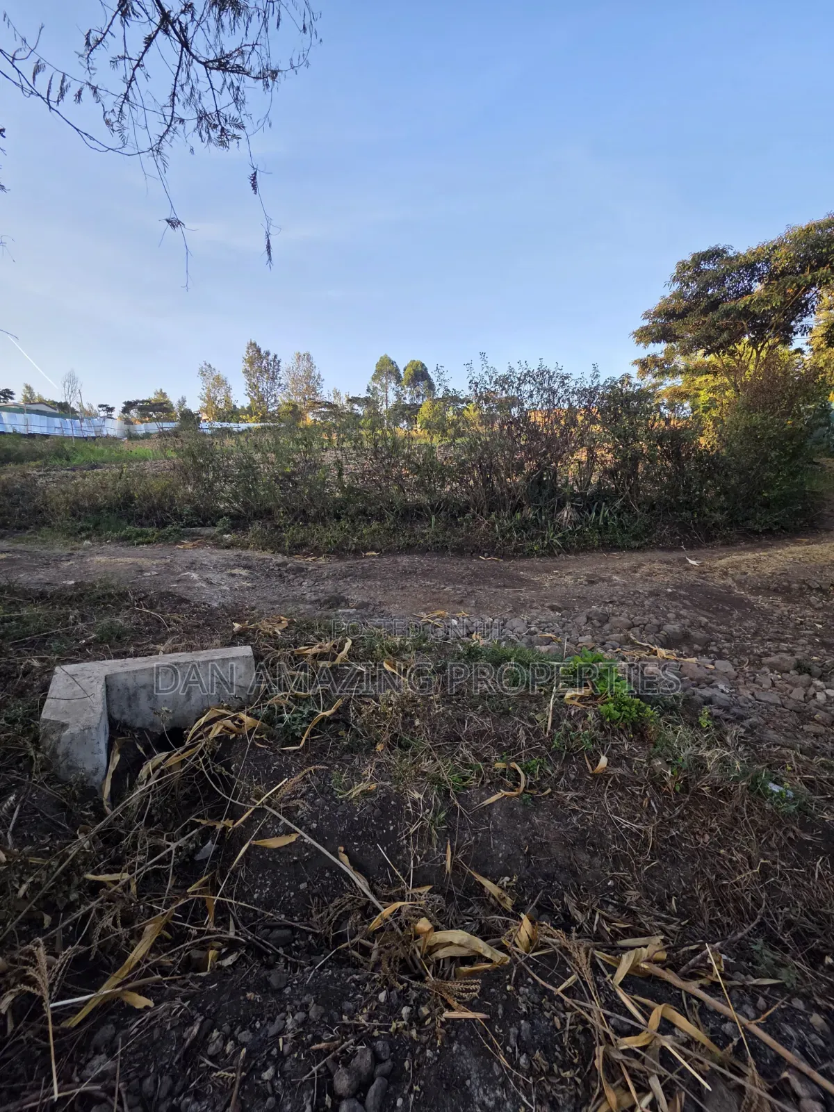 1/4 Acre Plot Ngong Olkeri for Sale Ideal for Residential Development