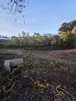 1/4 Acre Plot Ngong Olkeri for Sale Ideal for Residential Development