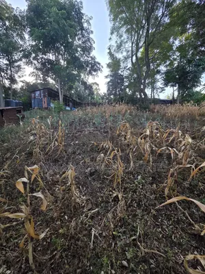 1 Acre Plot in Ngong Olkeri for Sale
