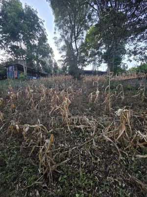 1 Acre Plot in Ngong Olkeri for Sale