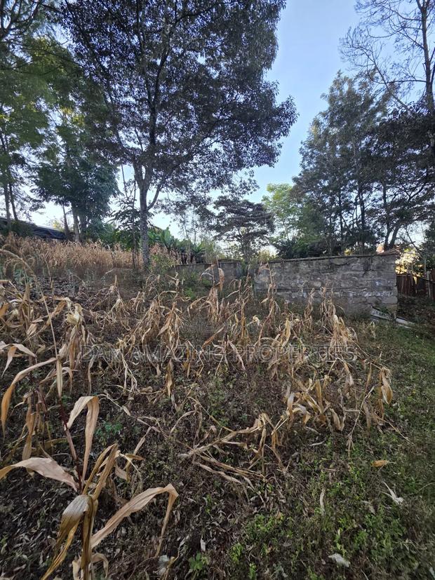 1 Acre Plot in Ngong Olkeri for Sale - thumbnail 6
