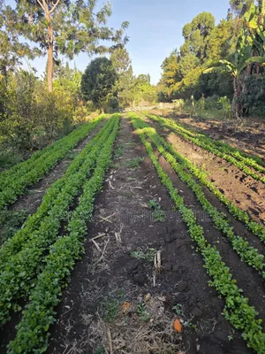 2 Acres Ngong Olkeri With Two Borehole for Sale as Block