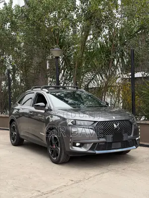 Car 2019 Gray
