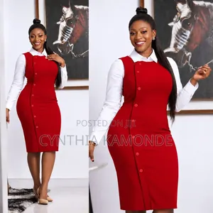 Fashionable Dress Comes With a Separate Shirt