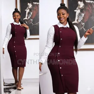 Fashionable Dress Comes With a Separate Shirt