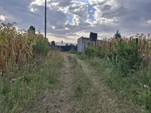 50×100 Plots at Mangu Nakuru