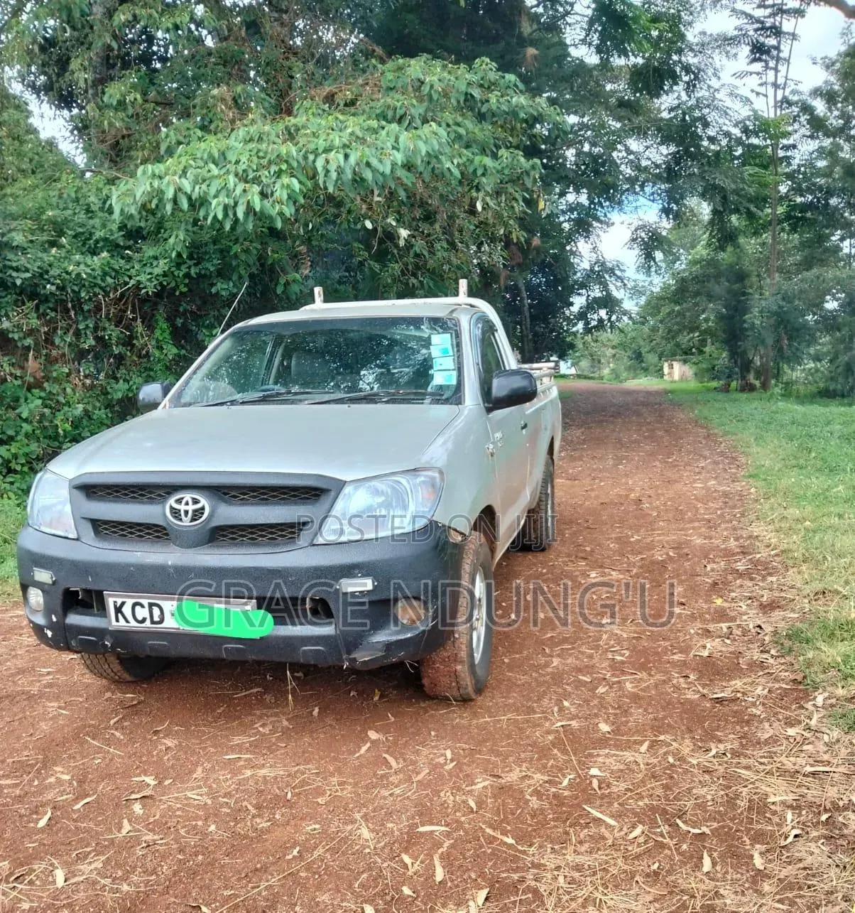 Toyota Hilux 2009 Silver
