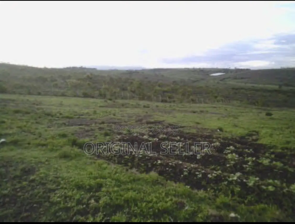 10 Acres for Sale