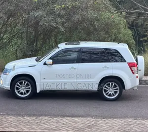 Suzuki Escudo 2010 White