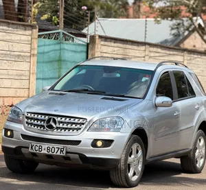 Mercedes-Benz M Class 2010 Silver