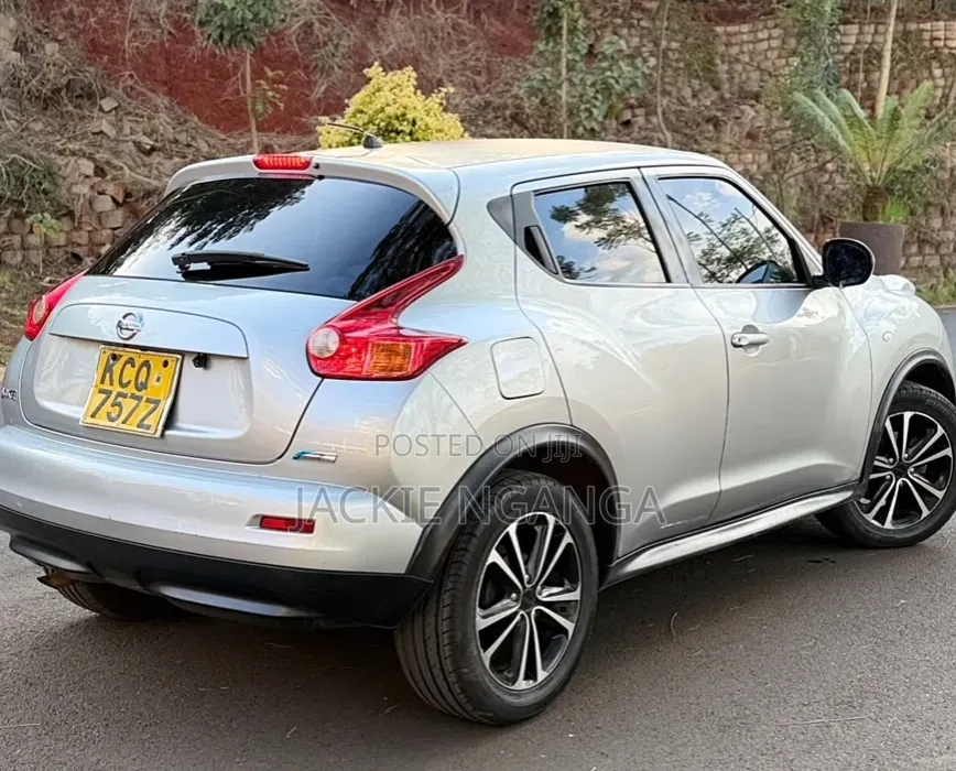 Nissan Juke 2012 Silver