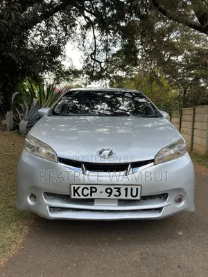 Toyota Wish 2010 Gray