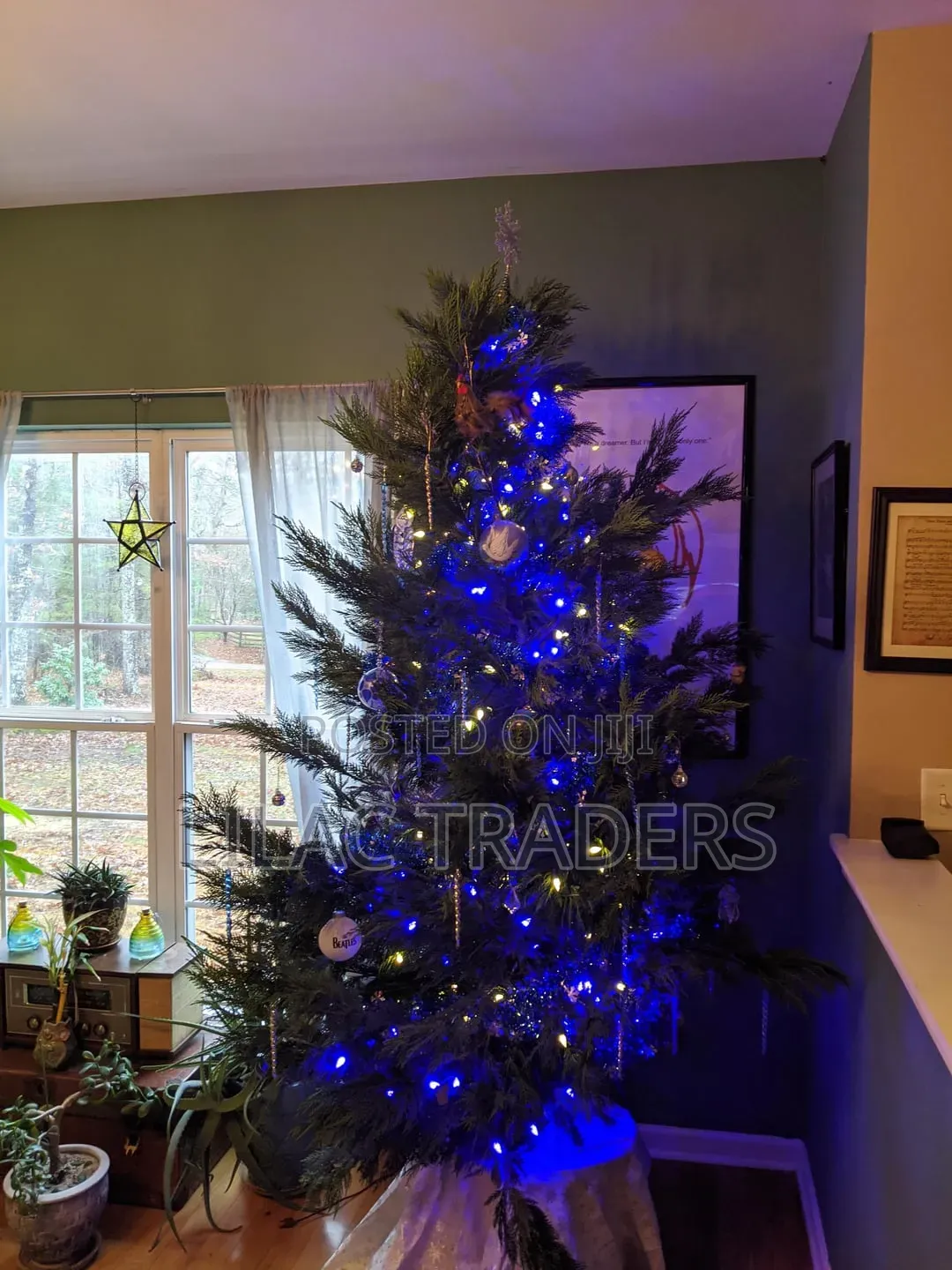 Cypress Artificial Christmas Tree 6ft Davy