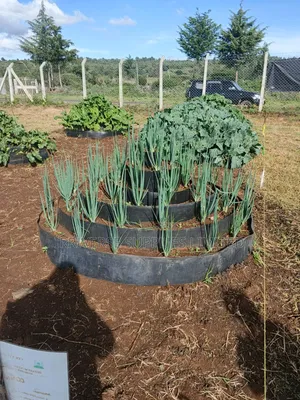 Multistorey Vertical Gardens