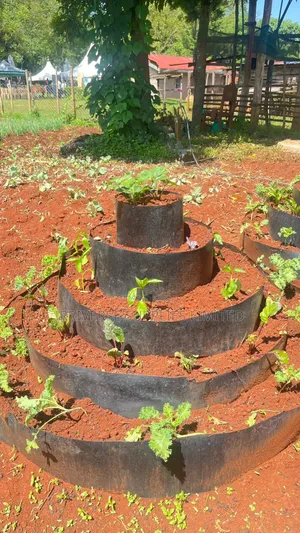 Multistorey Vertical Gardens