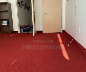 Modern Home Interior 4mm Delta Wall to Wall Carpet