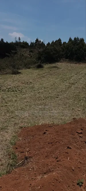 Kikuyu Kamangu Ndiguini