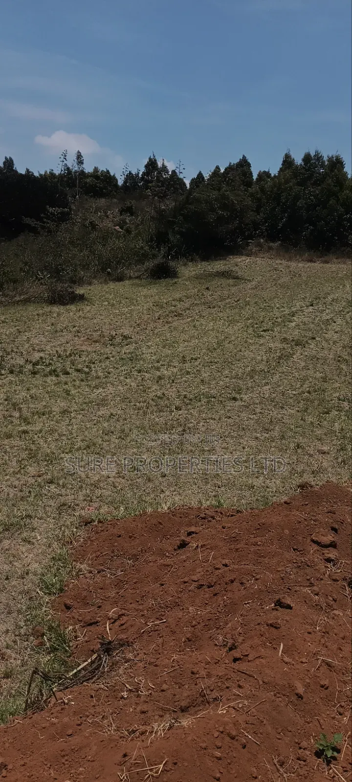 Kikuyu Kamangu Ndiguini