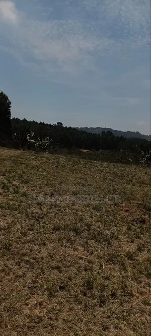 Kikuyu Kamangu Ndiguini