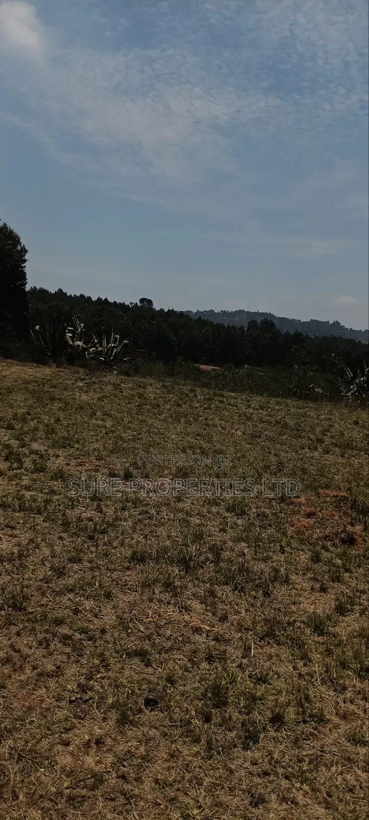 Kikuyu Kamangu Ndiguini