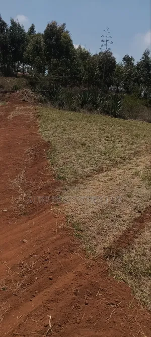 Kikuyu Kamangu Ndiguini