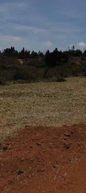Kikuyu Kamangu Ndiguini