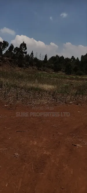 Kikuyu Kamangu Ndiguini
