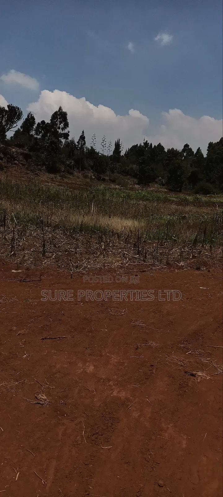 Kikuyu Kamangu Ndiguini