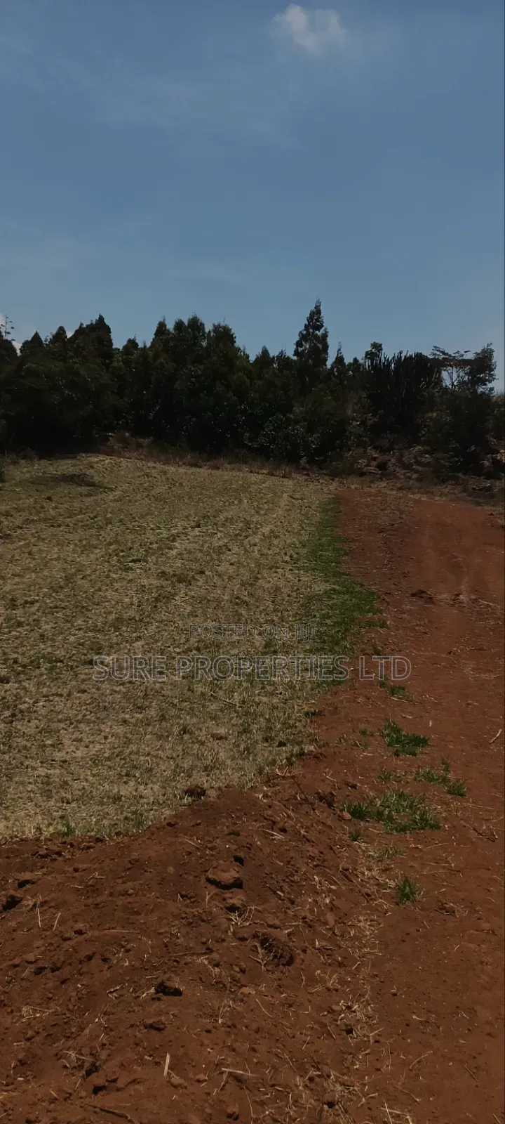 Kikuyu Kamangu Ndiguini