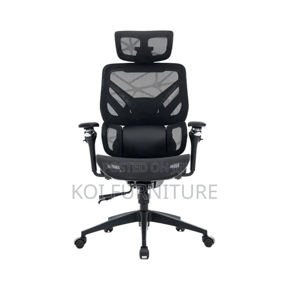 Office Chairs; Executive Orthopedic Chair With 6D Armrests