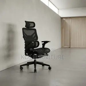 Office Chairs; Executive Orthopedic Chair With 6D Armrests