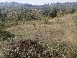 Plot for Sale