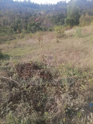 Plot for Sale