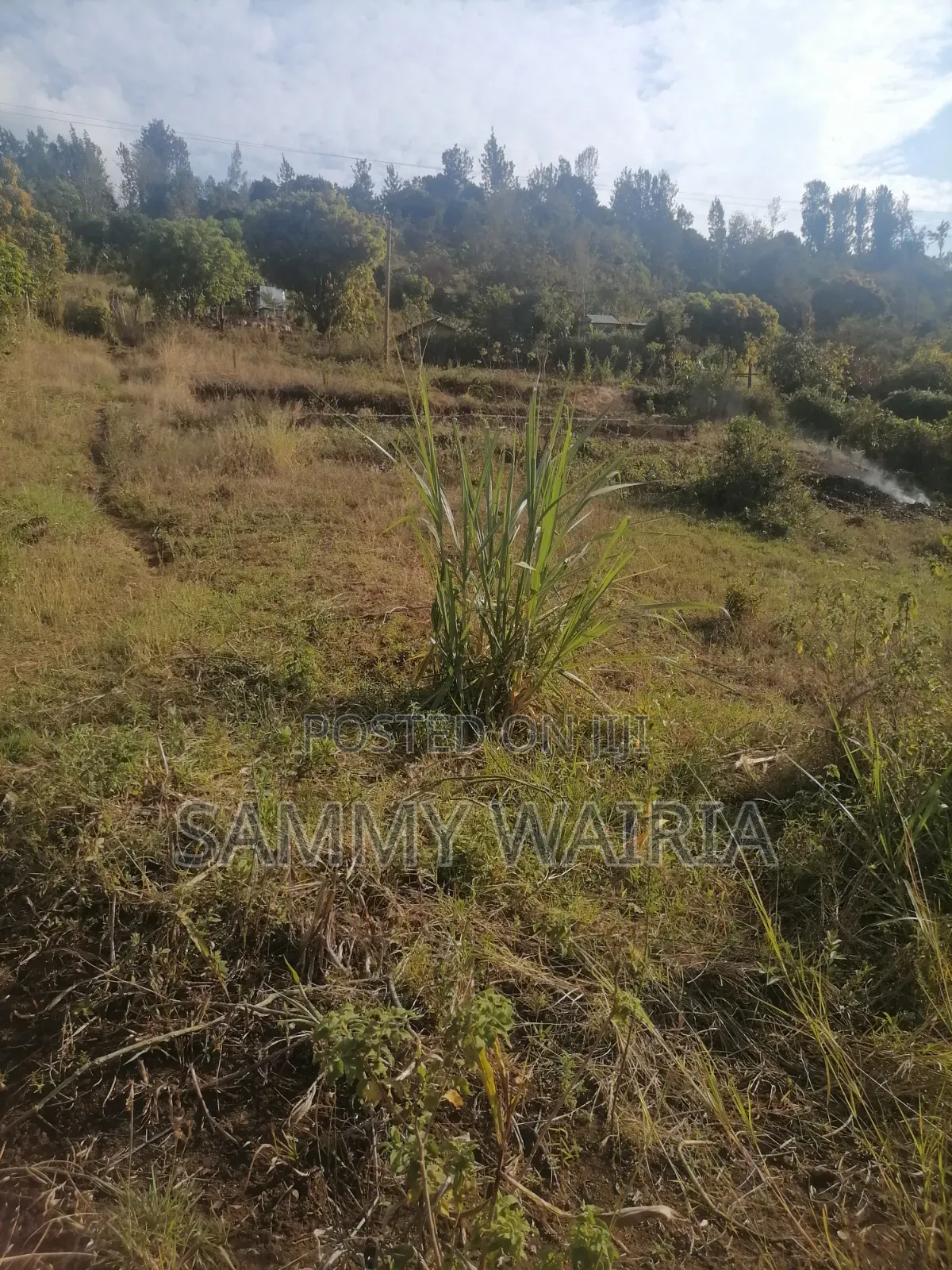Plot for Sale
