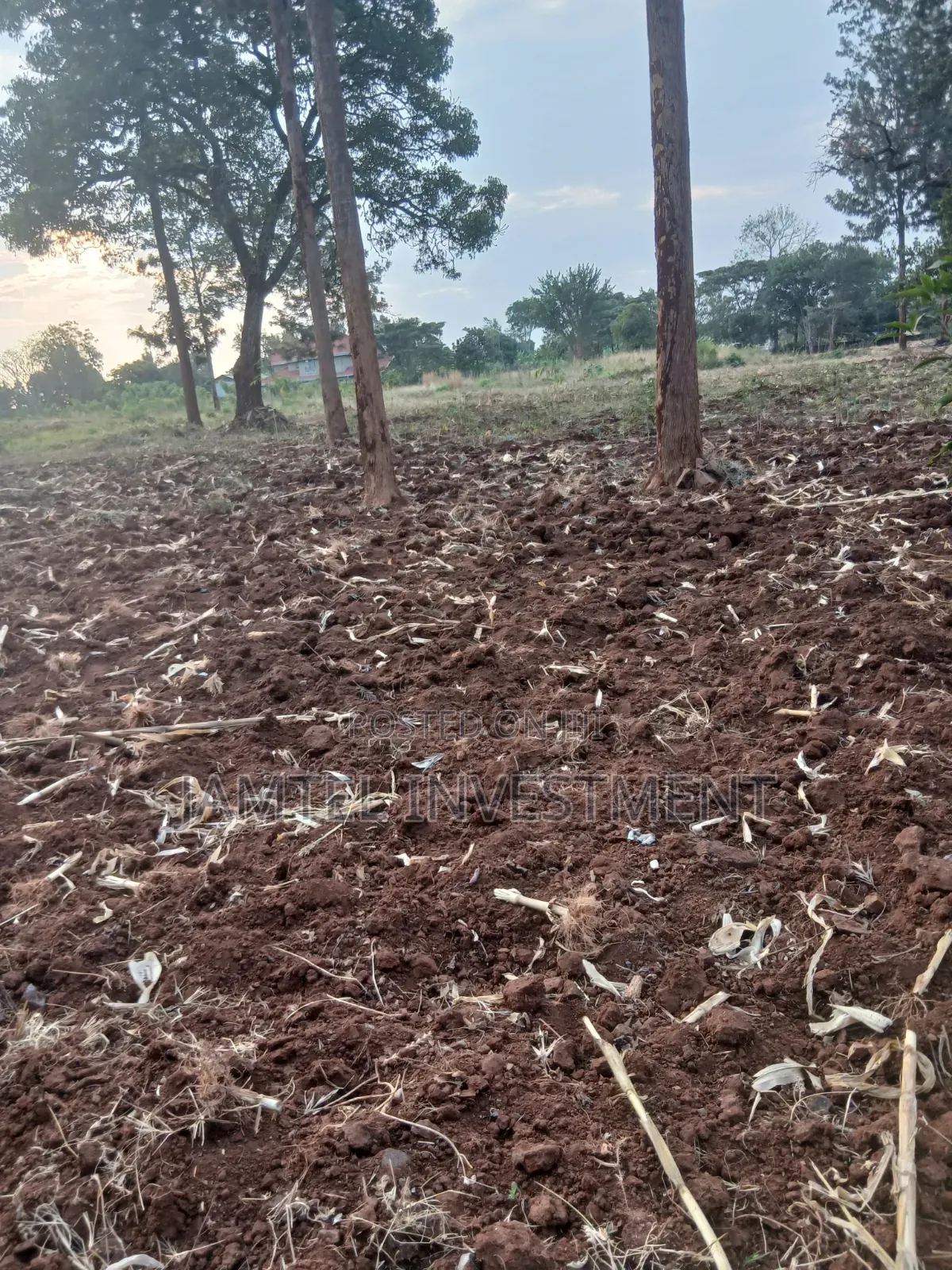 50x100 Juja , Residential, Along Gatundu Road