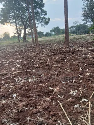 50x100 Juja , Residential, Along Gatundu Road