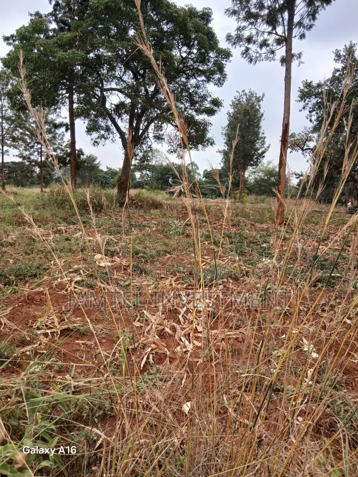 50x100 Juja , Residential, Along Gatundu Road