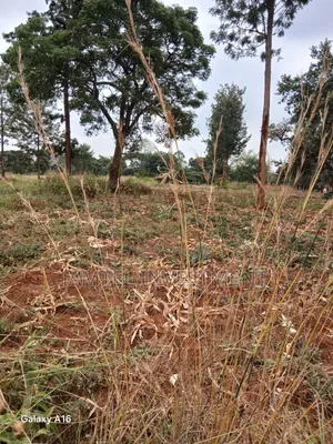 50x100 Juja , Residential, Along Gatundu Road