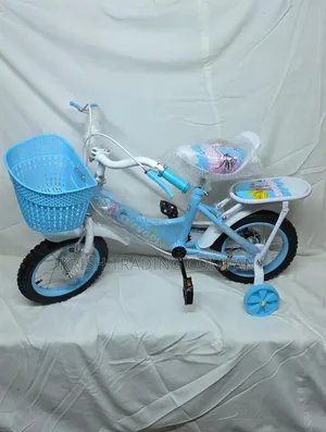RB24900 Shengdi Kids Bicycle Size 12 Inch