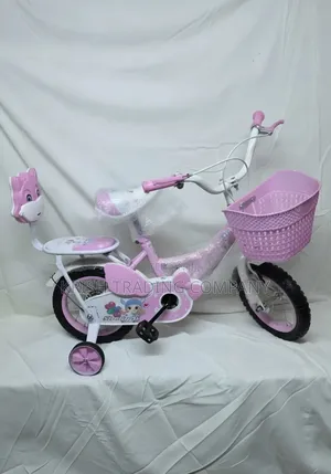 RB24902 Shengdi Kids Bicycle Size 12 Inch