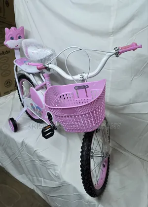 RB24903 Shengdi Kids Bicycle Size 16 Inch