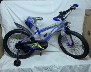RB24920 Sibog Kids Bicycle Size 20 Inch