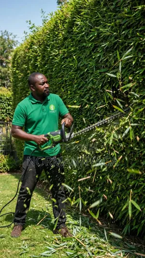 Non Invasive (Miniature)Ornamental Bamboo
