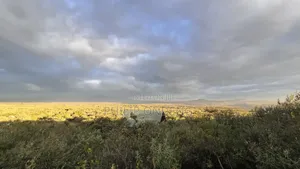 Private Land Sale