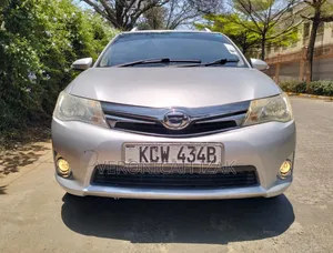 Toyota Corolla Fielder 2013 Silver