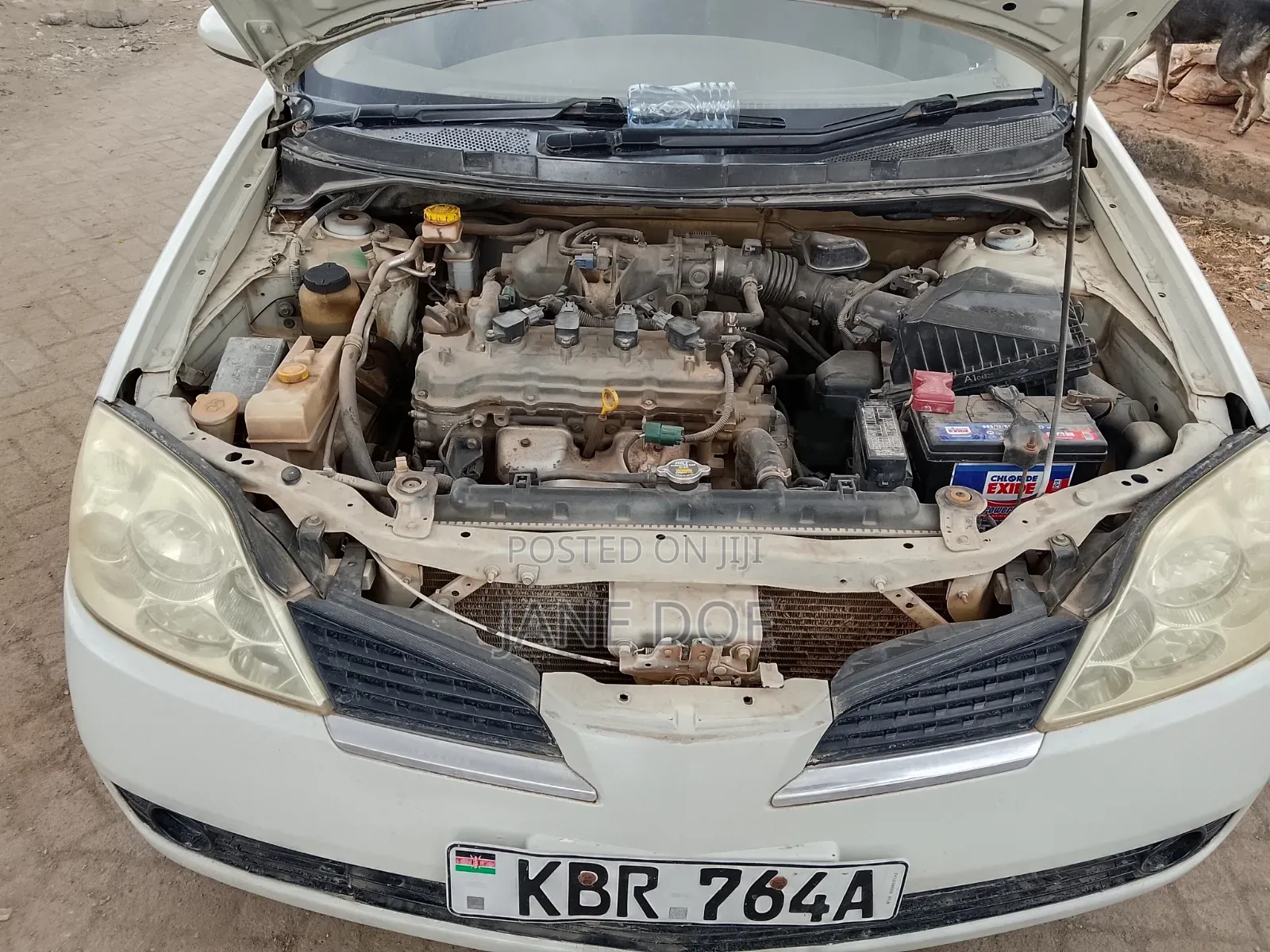 Nissan Primera 2005 Pearl