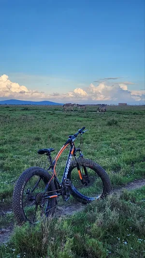 Unirox Fat Bike MTB With 26" Tyres