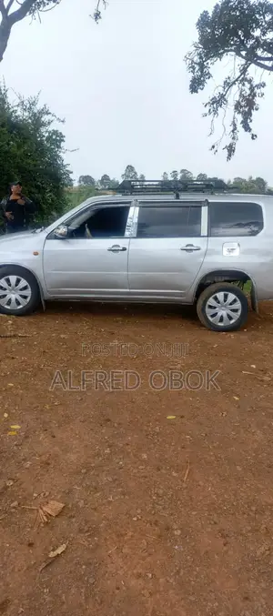 Toyota Probox 2010 Gray