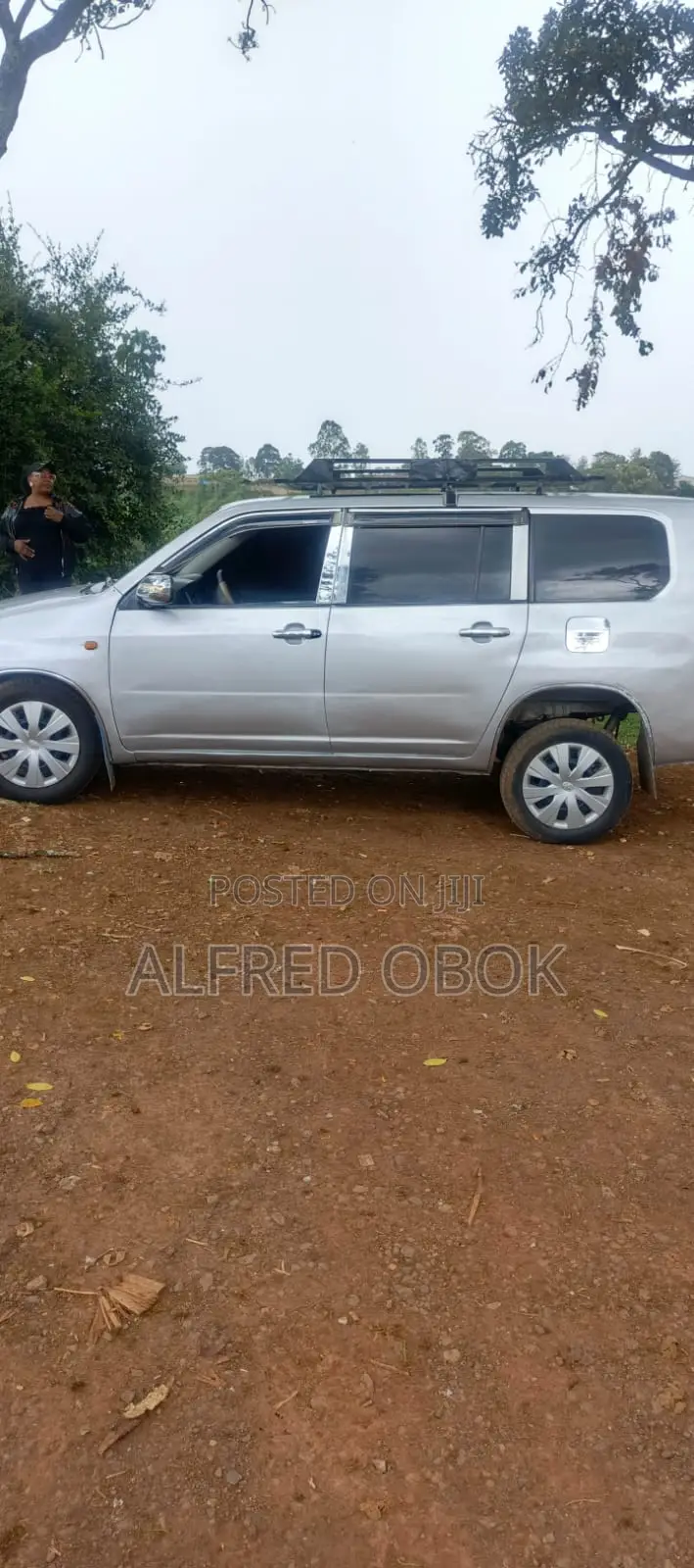 Toyota Probox 2010 Gray